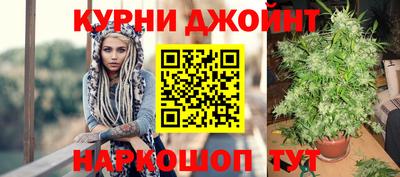 стаф Нальчик