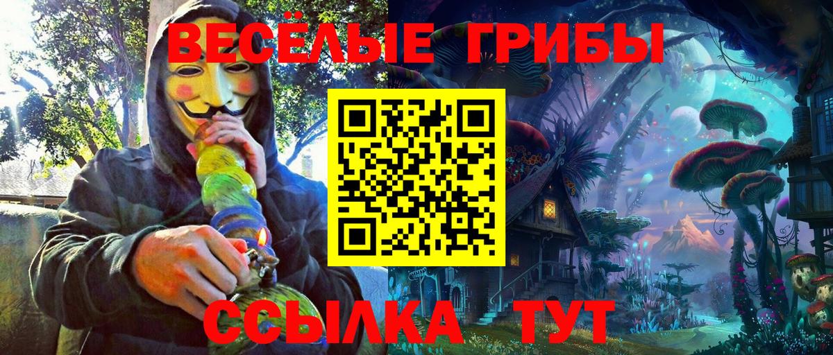 Галлюциногенные грибы MAGIC MUSHROOMS  Вход с VPN  Верхний Уфалей  Псилоцибиновые грибы GOLDEN TEACHER 